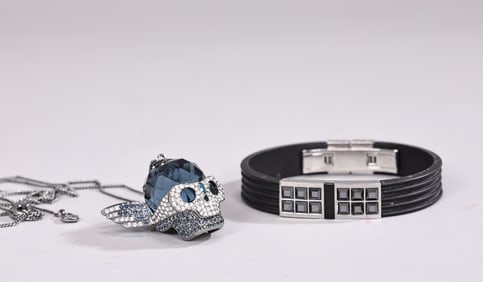 Swarovski Crystal Blue Passenger Skull Necklace And Bangle Bracelet