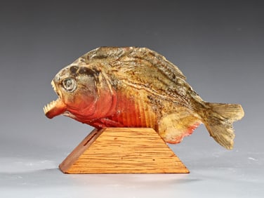 Real Red Belly Piranha Fish On Wood Stand Mount Taxidermy