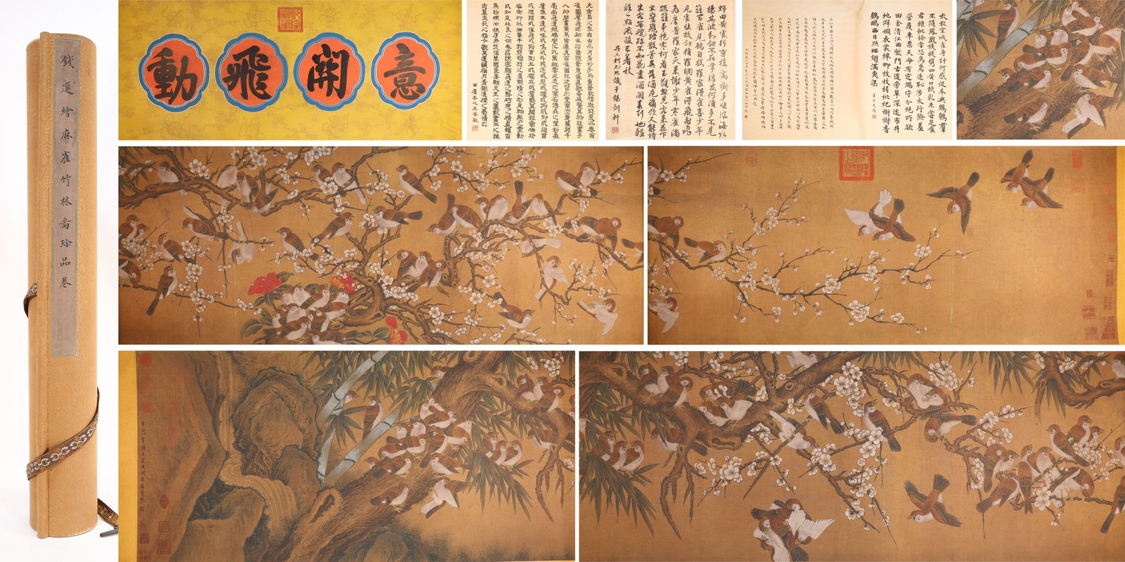 Chinese Drawing Flower and Bird Hand Scroll,Qian Xuan Mark: Chinese Drawing Flower and Bird Hand Scroll,Qian Xuan Mark (725 x 51cm)