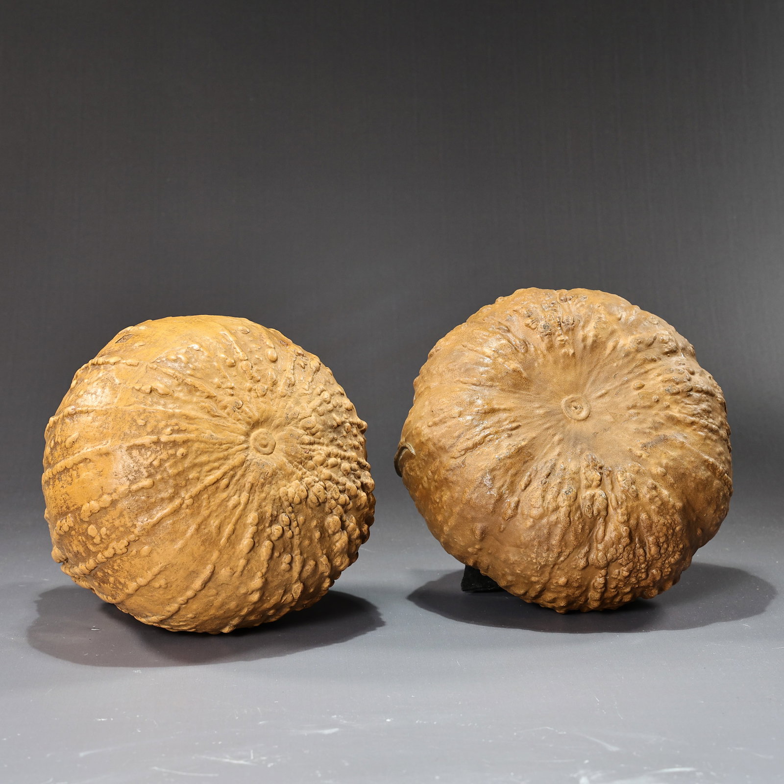 Two Ceramic Pumpkin And Lizard Carving Sculpture With Artist Mark - 8