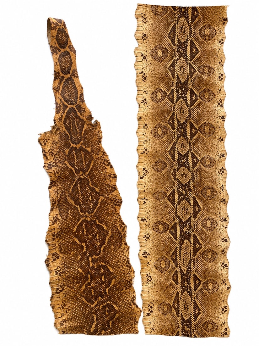 Large Vintage Genuine Python Snake Skin Hide - 4