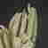 item-135151814=3