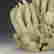 item-135151814=5