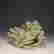 item-135151814=9