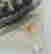 item-135452318=9