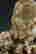 item-135452323=5