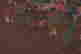 item-108982394=3