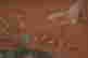 item-108982659=3