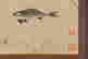 item-111315999=4