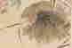 item-111316015=6