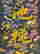item-117261232=2