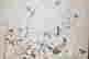 item-117261235=4