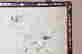 item-117261235=8
