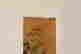 item-117261248=2