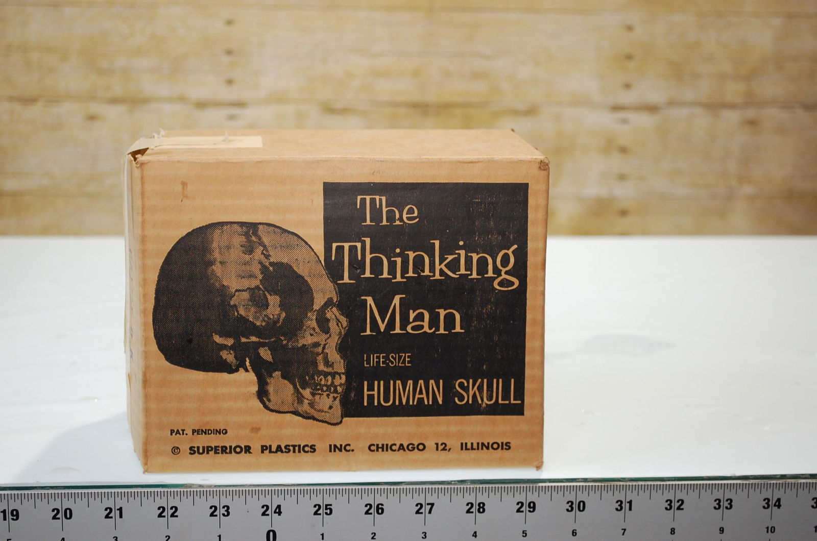 VANTAGE 50'S THE THINKING MAN LIFE SIZE HUMAN SKULL (1 of 5)
