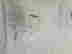 item-99798368=4