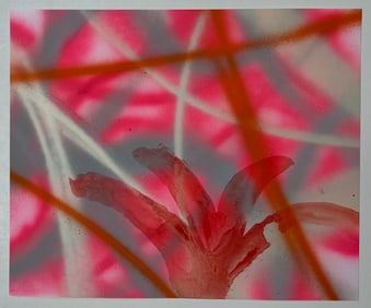 ABSTRACT PAINTING ON PAPER