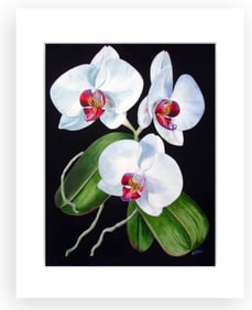 BOTANICAL ILLUSTRATION FINE ART REPRODUCTION