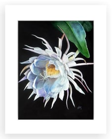 BOTANICAL ILLUSTRATION FINE ART REPRODUCTION