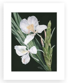 BOTANICAL ILLUSTRATION FINE ART REPRODUCTION
