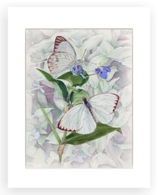 BOTANICAL ILLUSTRATION FINE ART REPRODUCTION