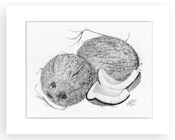 BOTANICAL ILLUSTRATION FINE ART REPRODUCTION