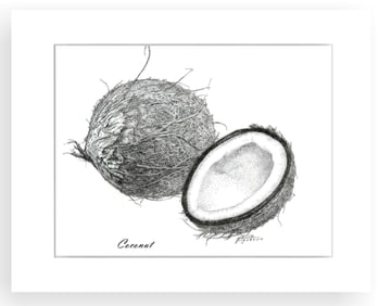 BOTANICAL ILLUSTRATION FINE ART REPRODUCTION