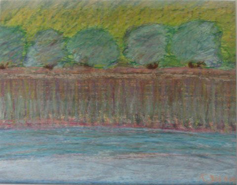 Pastel Landscape River bank: Artist: Kathleen Dunn Biography: (born 1960) Studied at Castle Hill Art School, Truro, Ma., Mass. College of Art and UMass. Winner of grants from the Mass. Cultural Council. Member of PAAM.
