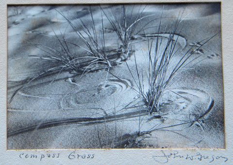 Photography, Black/white, print, John W. Gregory: John W. Gregory, Compass Grass, black and white photography print, 4.25 x 6.25, slr on matte only, titled lower left on matte only, Framing: gold/stained matte/glass, 8 x 10 About the Artist: John W.