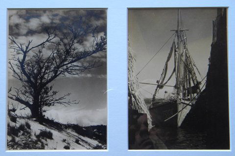 Photography, Black/White, print, John W. Gregory: John W. Gregory, "Scrub Grass" and "At Rest", black and white photography print, 6.5 x 5 (both), signed on mattes only (attached verso), titled on mattes only (verso), Framing: white leather, matte/gl