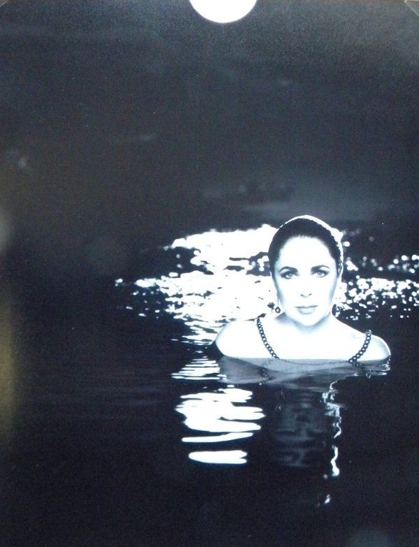 Elizabeth Taylor in water, photo by Herb Ritts, 8 x: Elizabeth Taylor in water, photo by Herb Ritts, 8 x 10, excellent condition, Facts: Elizabeth Taylor (1932–2011) British-American actress. Her first successful movie was "National Velvet" in 1944 an
