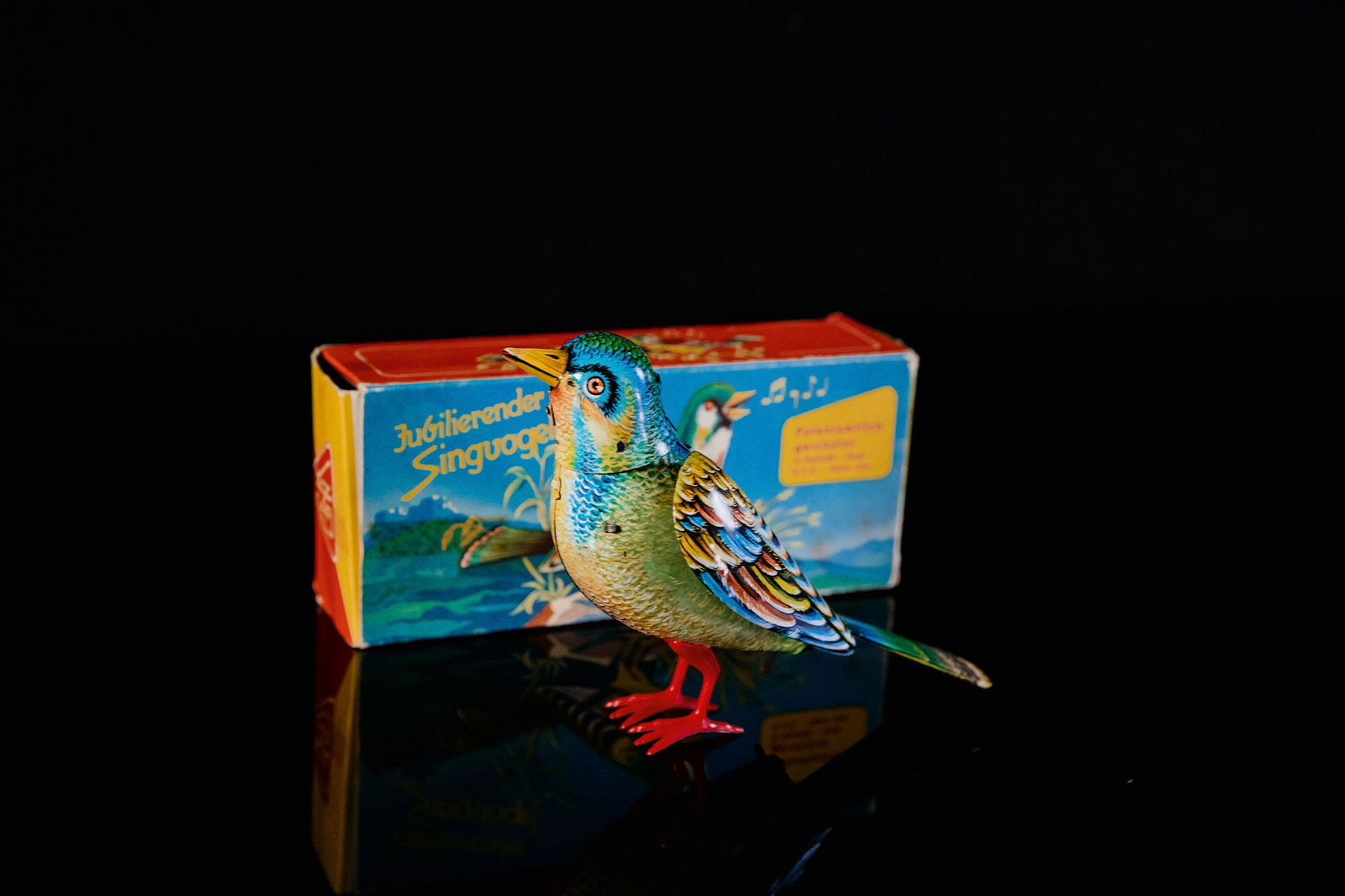 KÃ¶hler Singvogel (1 of 6)