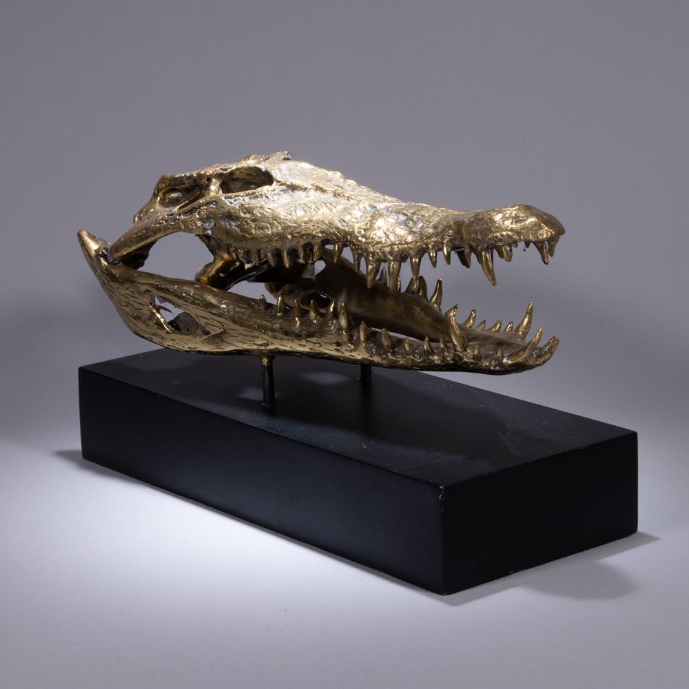 Saltwater Crocodile Skull Sculpture (1 of 6)