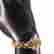 item-120920007=2
