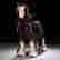 item-129106191=2