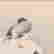 item-137100335=3