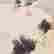 item-137100335=4