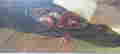 item-137207609=10