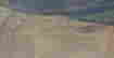 item-137207609=17