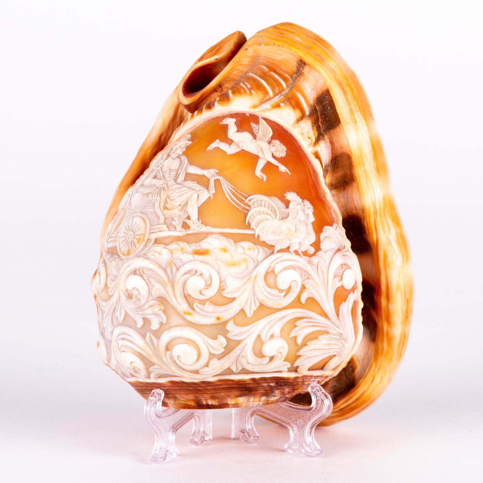 Ancient Greek Carved Cameo Conch Shell Lamp 19th Century (1 of 5)