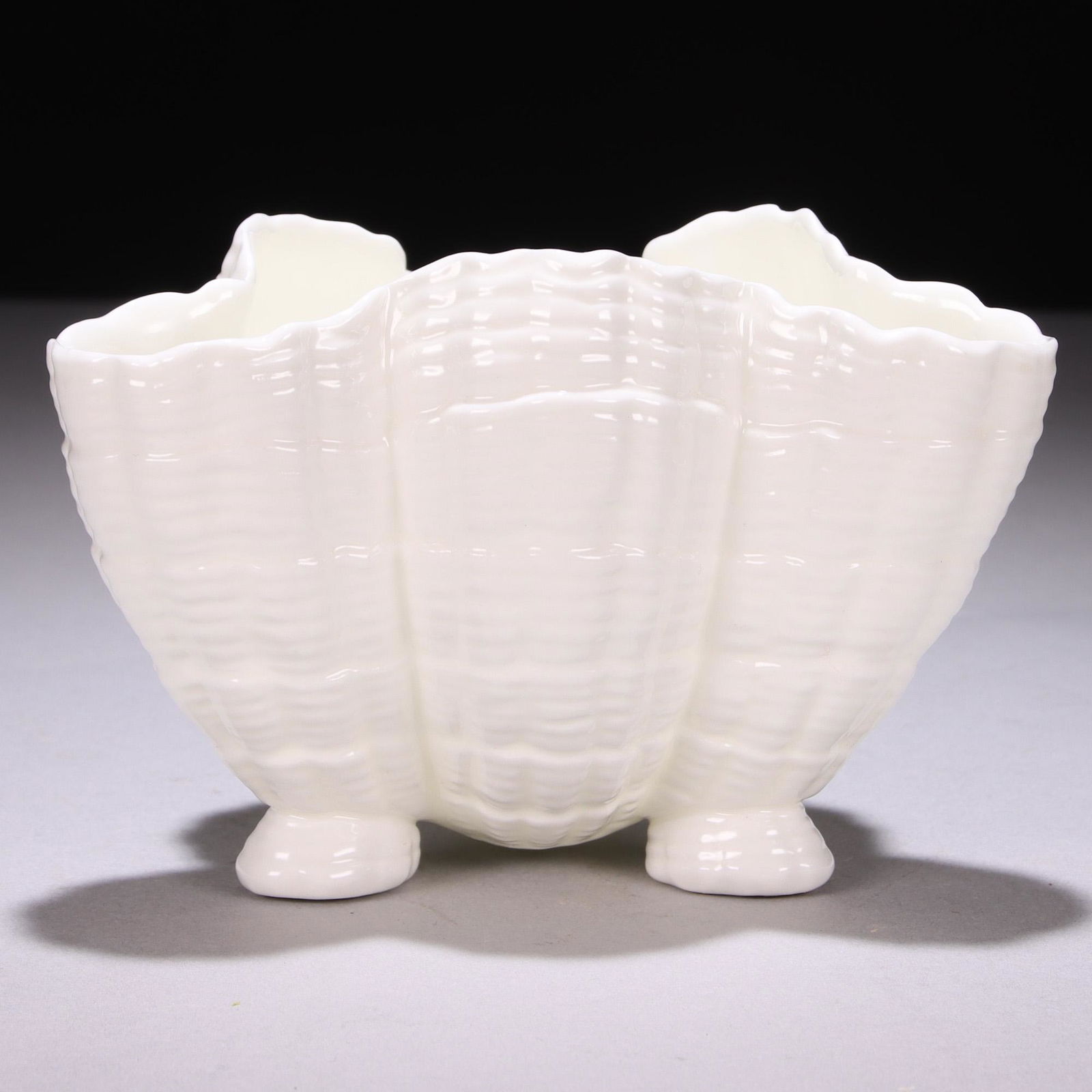 Royal Worcester Porcelain Shell Bowl 19th Century (1 of 6)