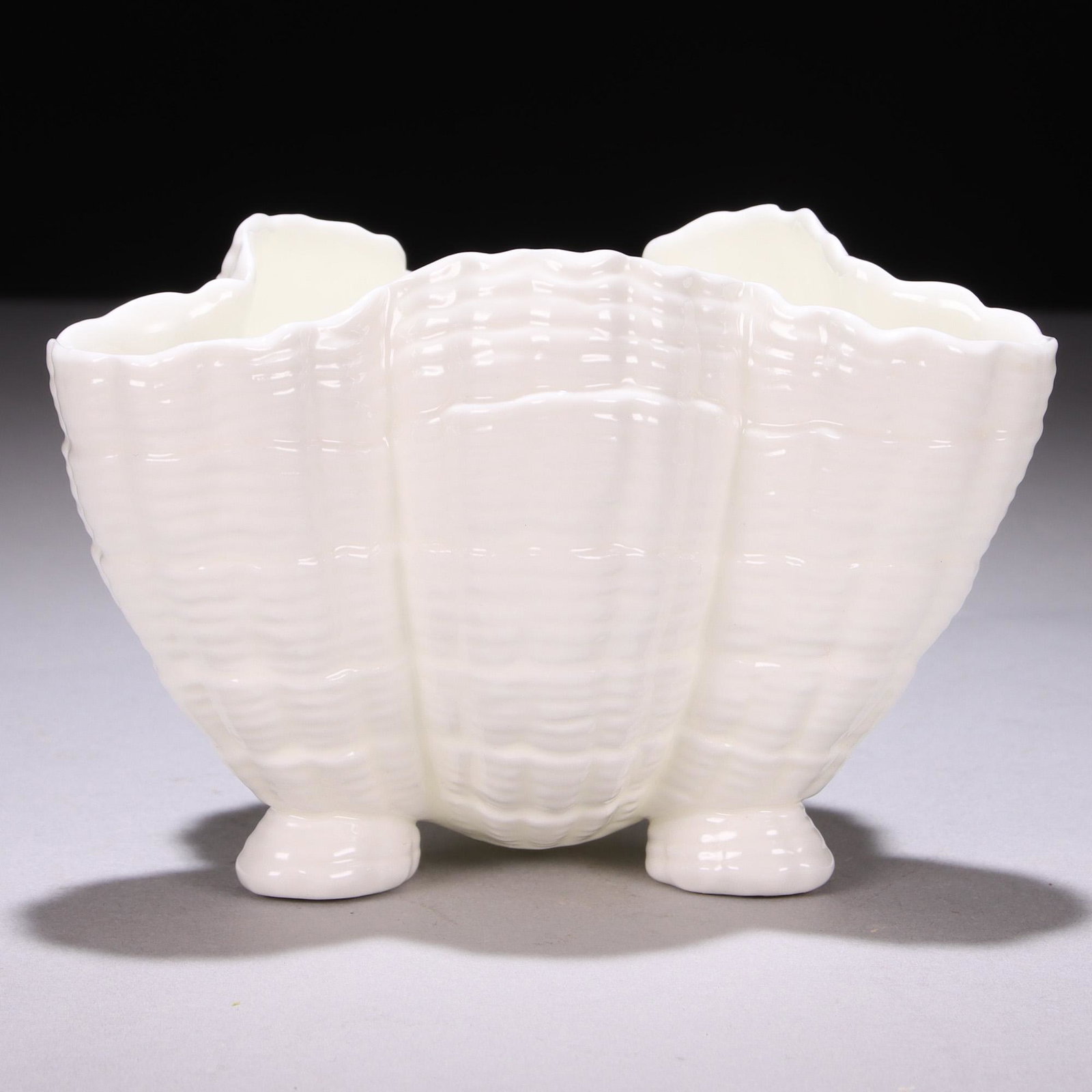 Royal Worcester Porcelain Shell Bowl 19th Century (1 of 6)