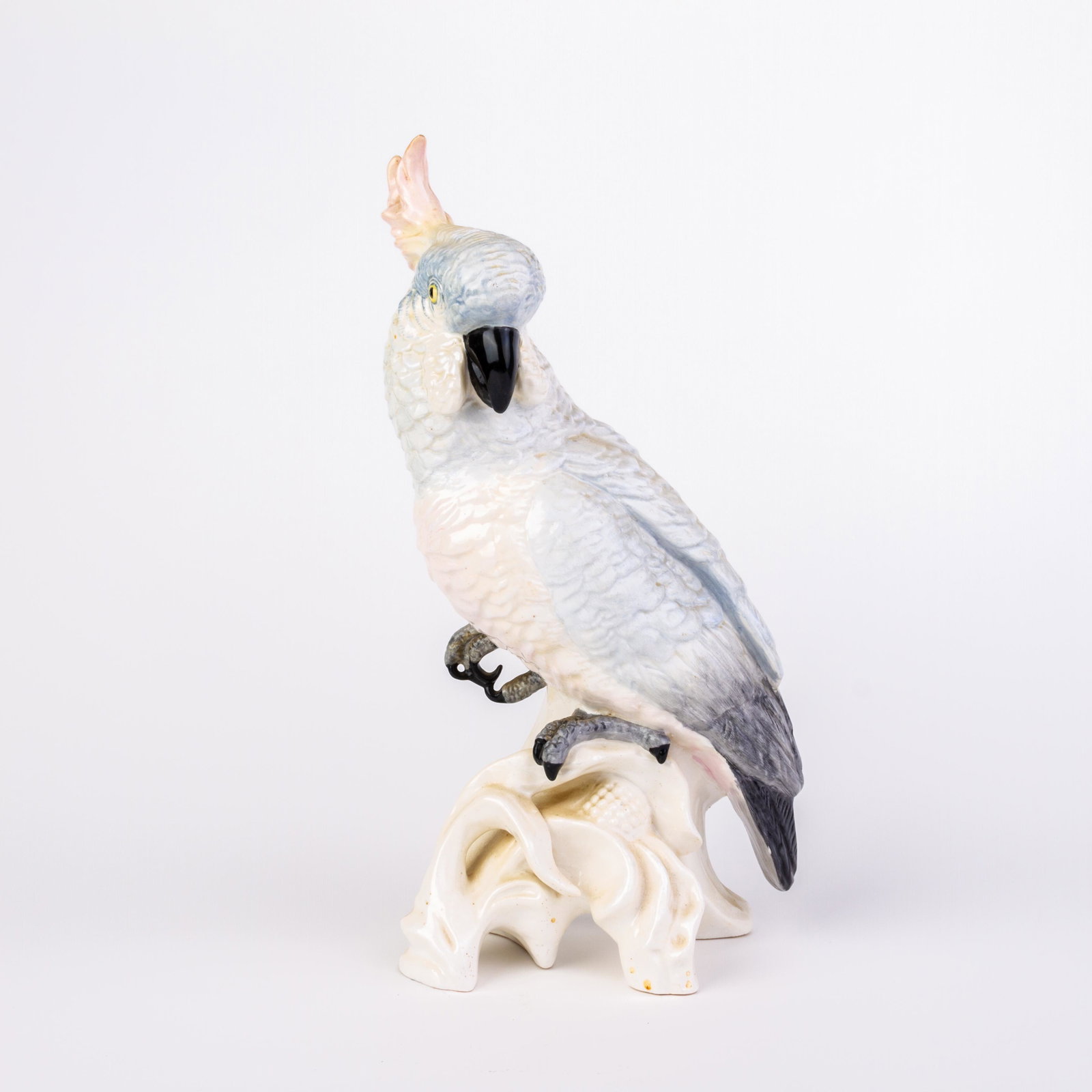 Crown Staffordshire Porcelain Cockatoo Signed J. T. Jones: Please carefully study all photographs to get an accurate idea of the object. In good condition, as seen. Shipping is in-house and we ship internationally to US and rest of the world. You may follow o