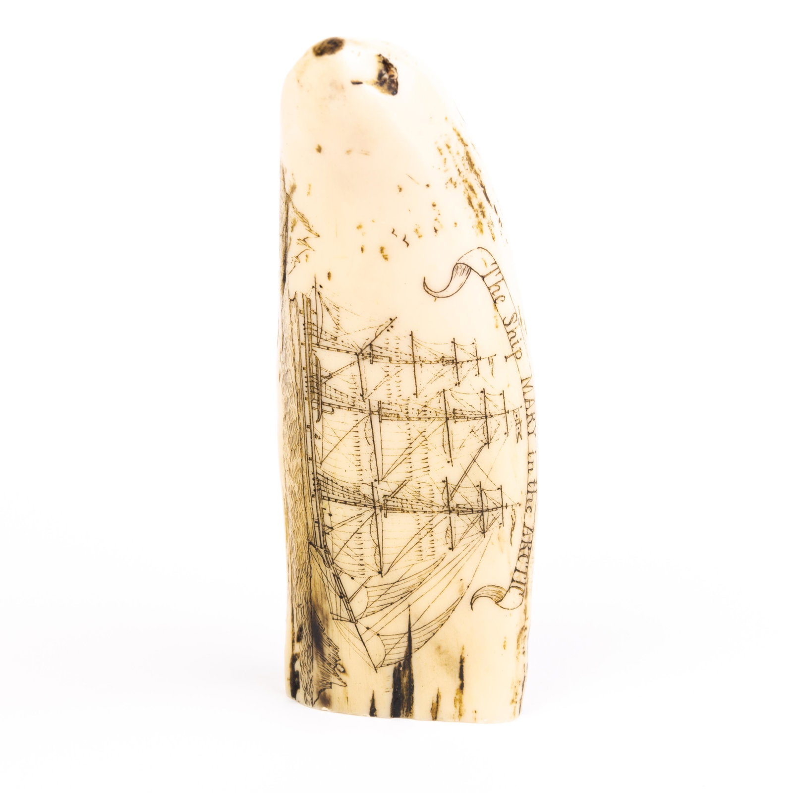 Sperm Whale Scrimshaw Nautical Faux Tooth: DIMENSIONS APPROX 5x4x15CM. Please carefully study all photographs to get an accurate idea of the object. In good condition, as seen. Shipping is in-house and we ship internationally to US and rest of