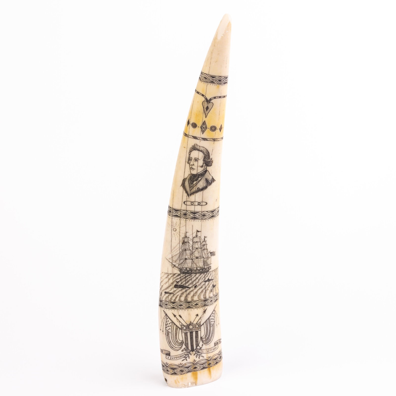 Sperm Whale Scrimshaw Nautical Faux Tooth: DIMENSIONS APPROX 7x5x36CM. Please carefully study all photographs to get an accurate idea of the object. In good condition, as seen. Shipping is in-house and we ship internationally to US and rest of