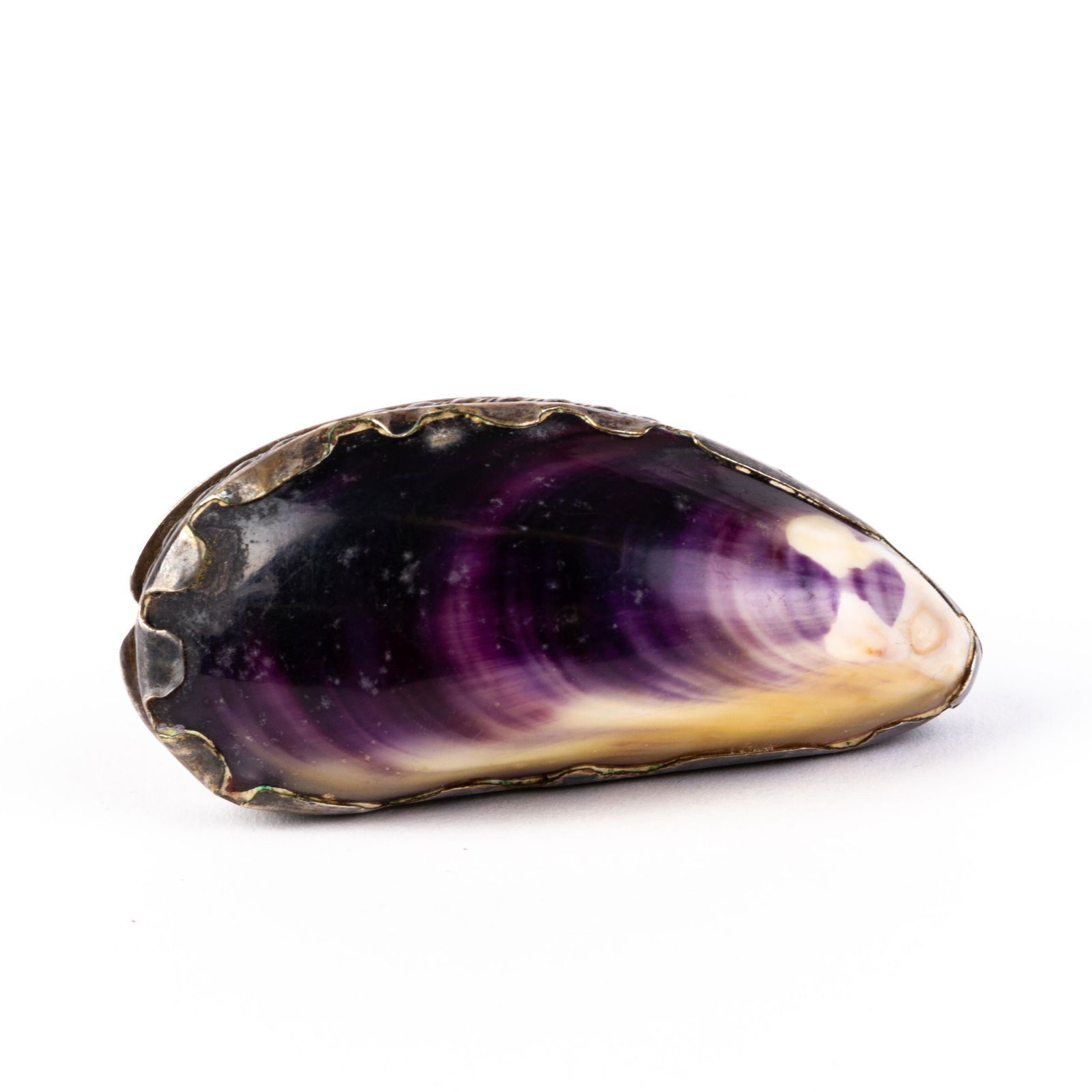 Georgian Silver & Natural Mussel Shell Snuff Box ca. 1820 (1 of 8)