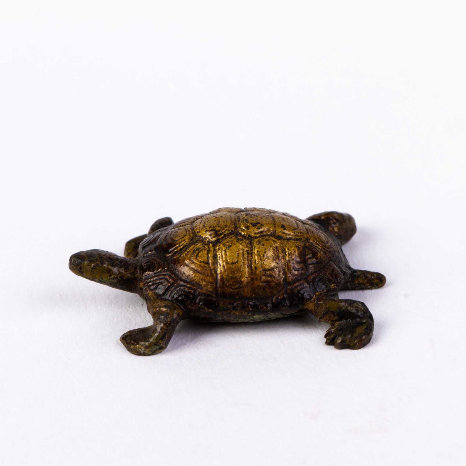 Bergman Style Austrian Cold Painted Bronze Sculpture Turtle (1 of 6)