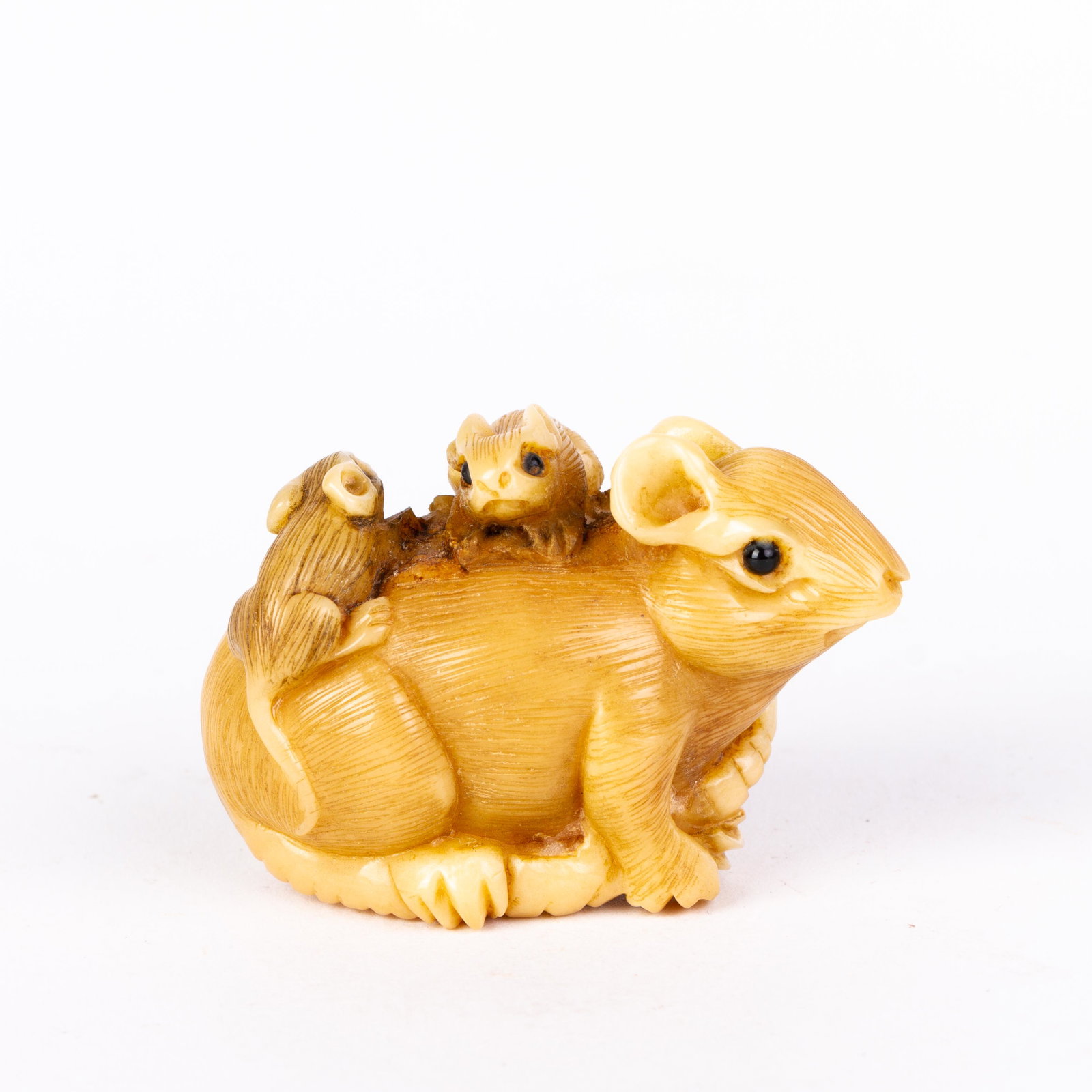 Signed Japanese Carved Tagua Nut Netsuke Inro: DIMENSIONS APPROX 5x3x3CM. Please carefully study all photographs to get an accurate idea of the object. In good condition, as seen. Shipping is in-house and we ship internationally to US and rest of 