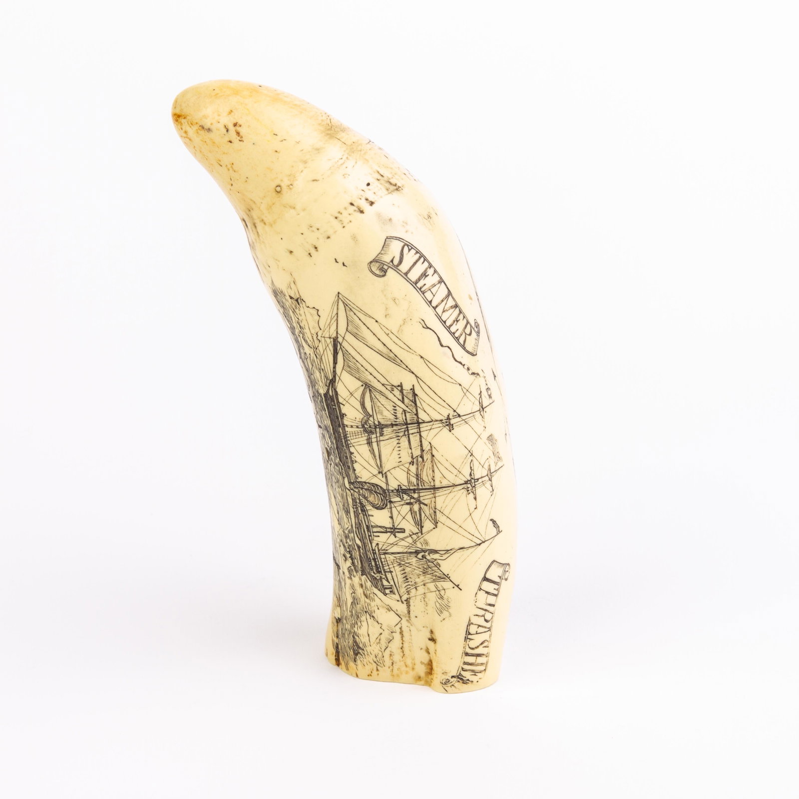 Sperm Whale Scrimshaw Nautical Faux Tooth: DIMENSIONS APPROX 6x6x16CM. Please carefully study all photographs to get an accurate idea of the object. In good condition, as seen. Shipping is in-house and we ship internationally to US and rest of