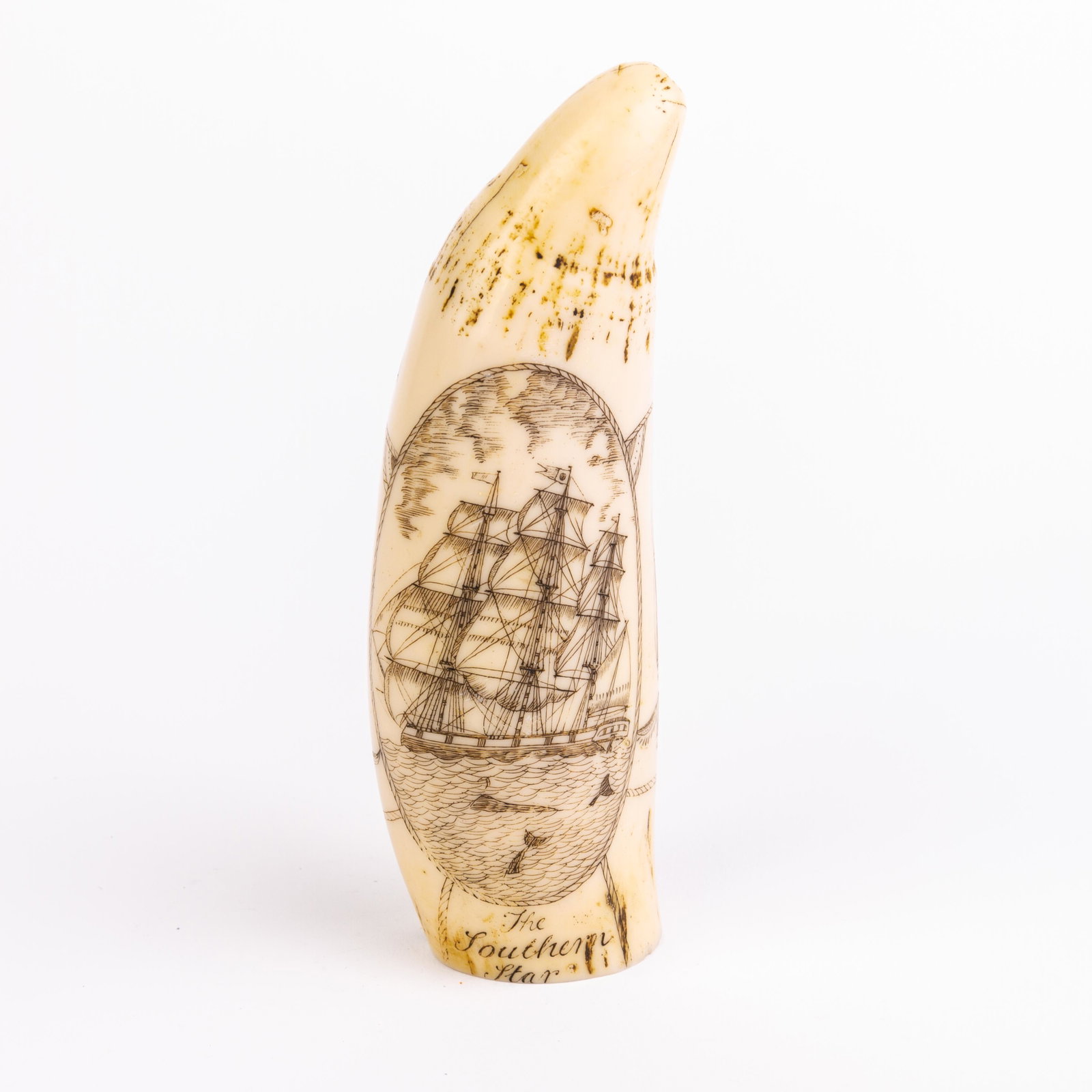 Sperm Whale Scrimshaw Nautical Faux Tooth: DIMENSIONS APPROX 6x6x16CM. Please carefully study all photographs to get an accurate idea of the object. In good condition, as seen. Shipping is in-house and we ship internationally to US and rest of